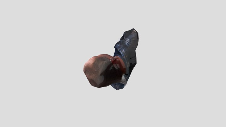 Scan_test_1 3D Model