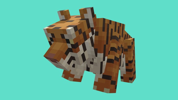 3D Model: Mammals - Tiger (teacher made) - Twinkl