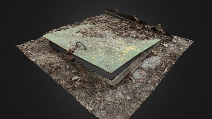 Cellar hatch (free raw scan) 3D Model