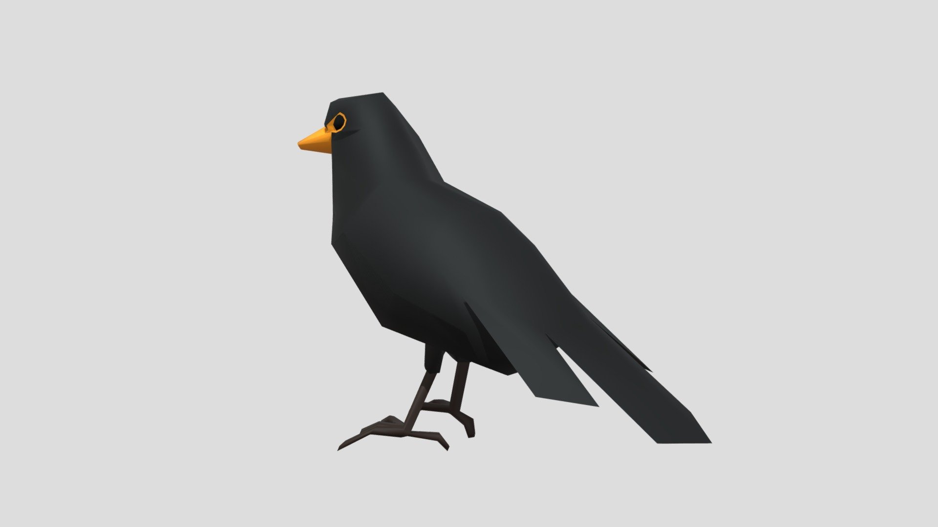 Blackbird