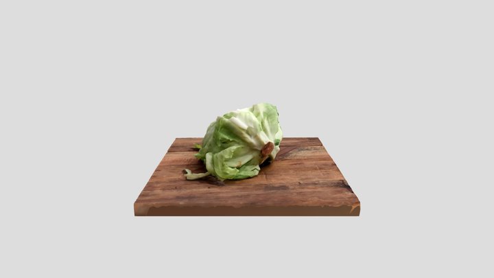 Chopped Lettuce 3D Model