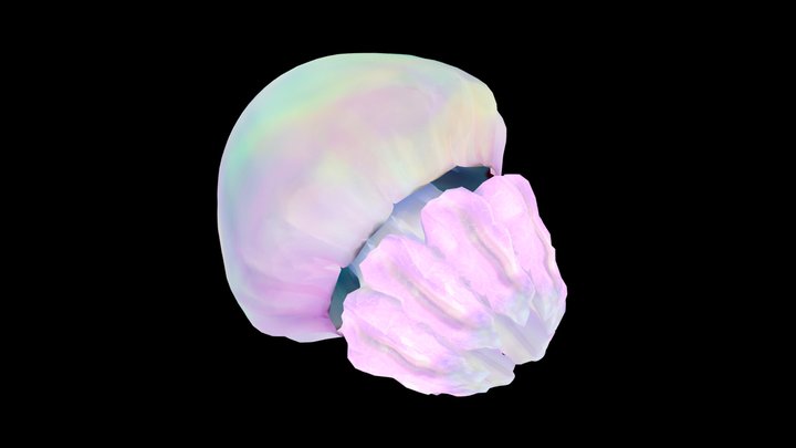 Jellyfish_003 3D Model