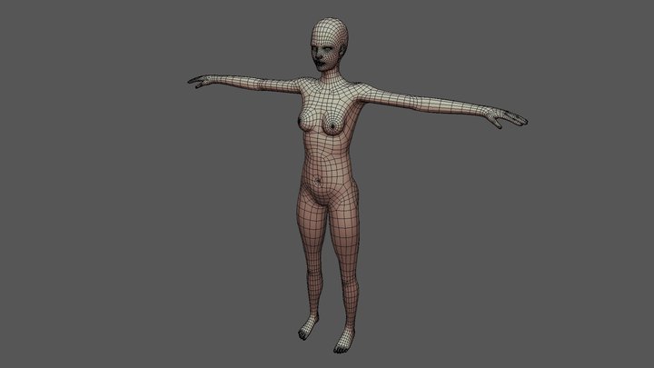 Female Topology Mesh 3D Model