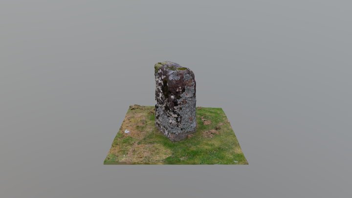 Strathblane Standing Stone, Scotland 3D Model
