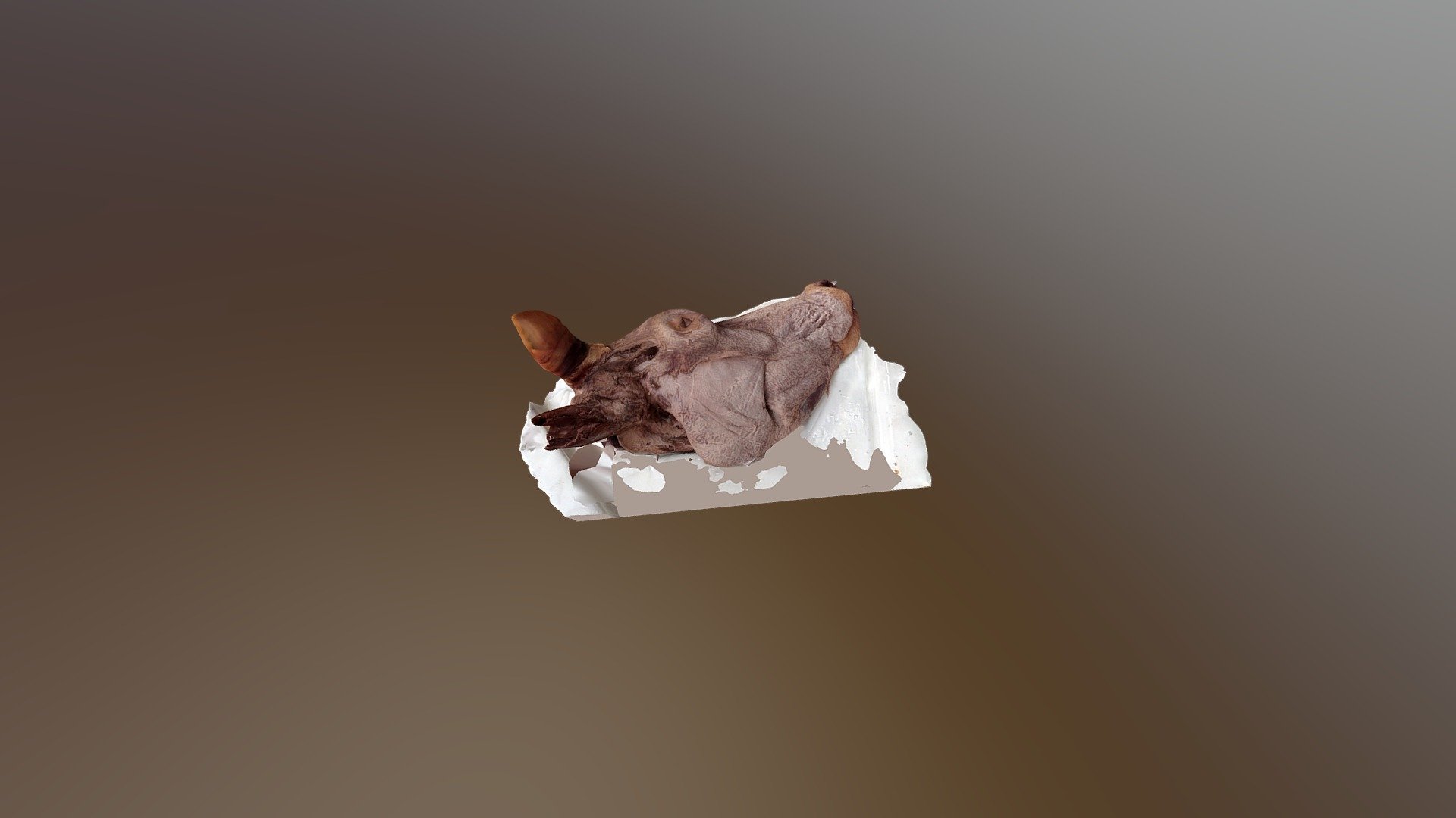 cow head