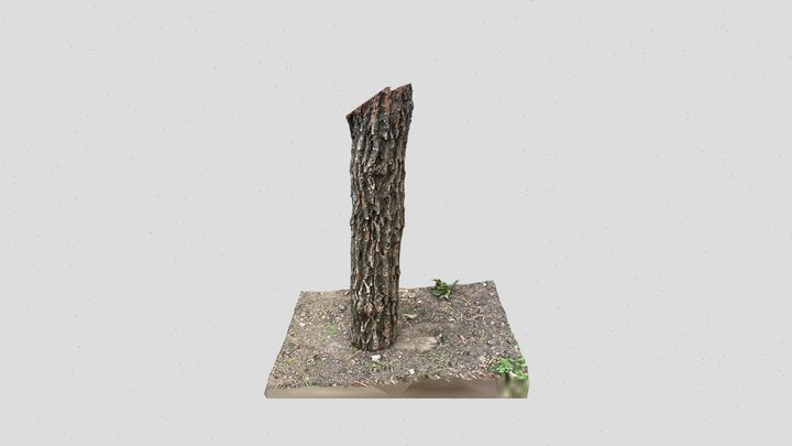 LowRes 3D Scanned Wood Log 3D Model