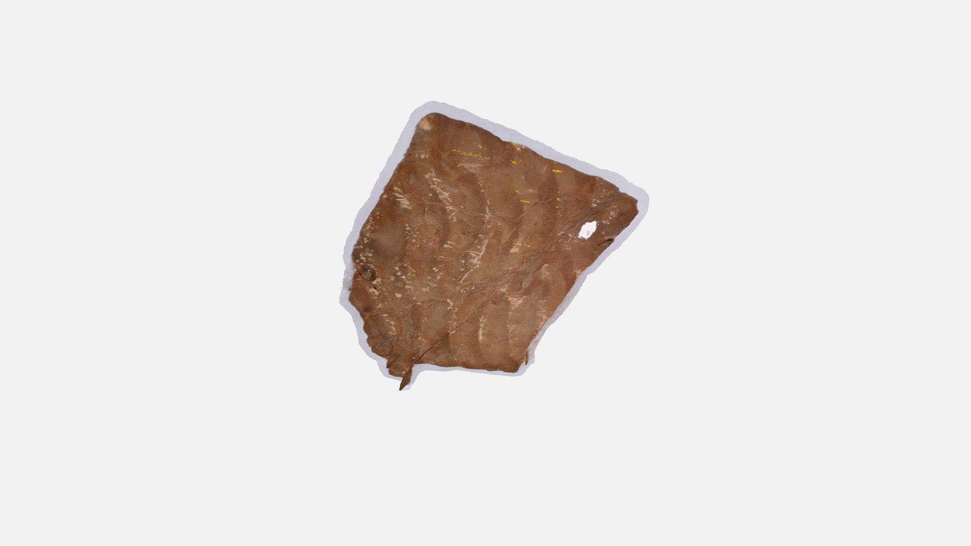 Sedimentary Sample