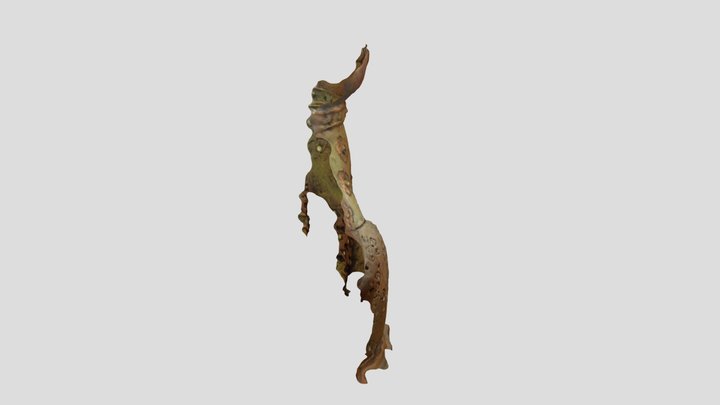 Ruina de Estatua de Felino. (40% recuperado) 3D Model