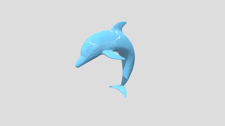 イルカ 3D Model