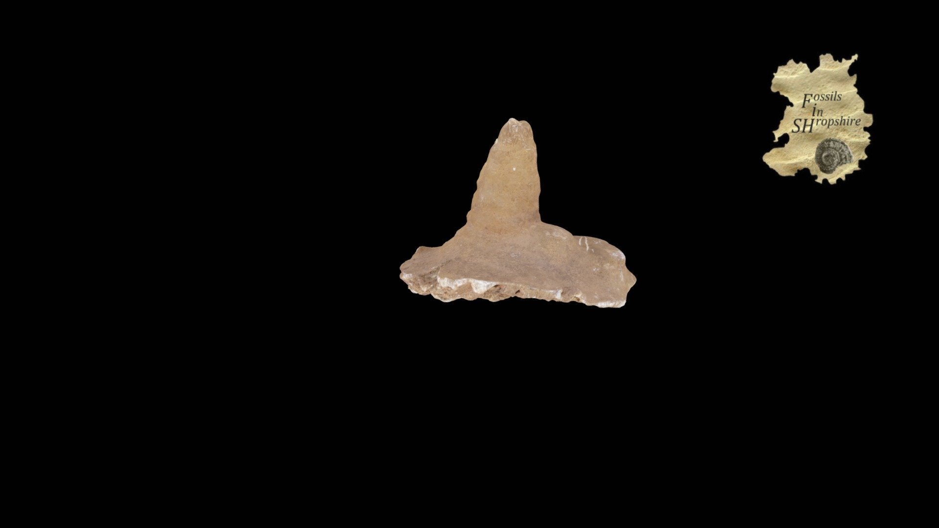 Stalagmite