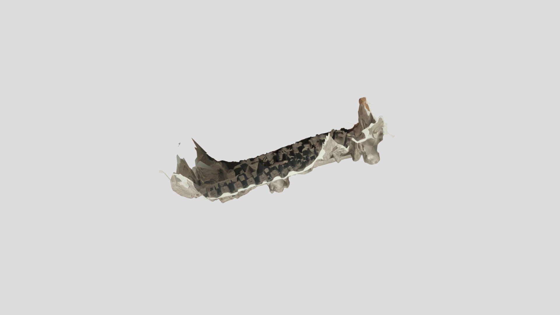 relief scan