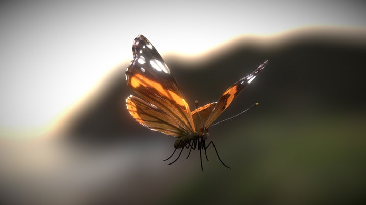 Vanessa Atalanta 3D Model