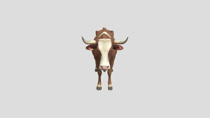 Cattle
