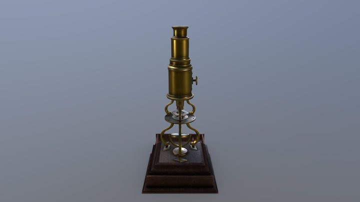 Antique "Flea glass" microscope 3D Model