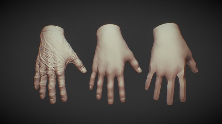 Old Human Hand 3D model 3D Model