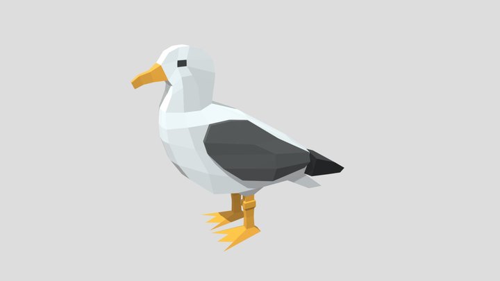 Low-poly Seagull 3D Model