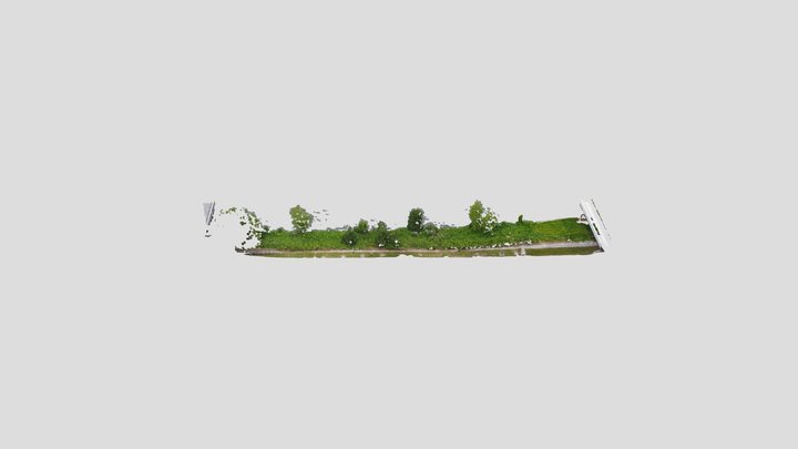 vegetación de ribera 3D Model