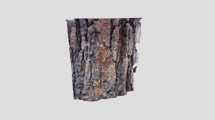 Pine Tree Bark – Kostenloses 3D-Modell STL