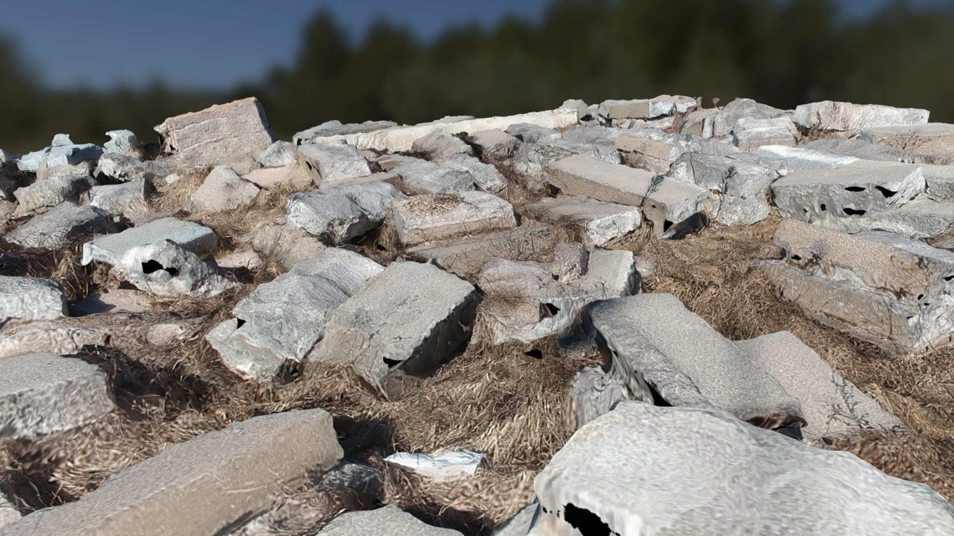 Field of Stones