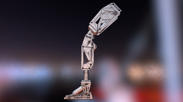 Prostheses Leg 3D Model