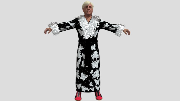 THE NATURE BOY RIC FLAIR - 2K22 – Kostenloses 3D-Modell STL