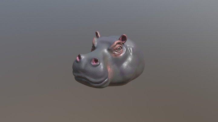 Hippo_Rough 3D Model