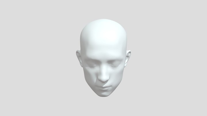 human head by sculptgl 3D Model