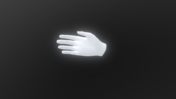 Hand Texture Animation 3D Model