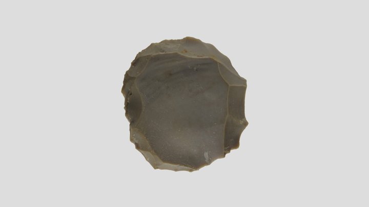 Nucleus Levaliois 3 Nucleus 3D Model