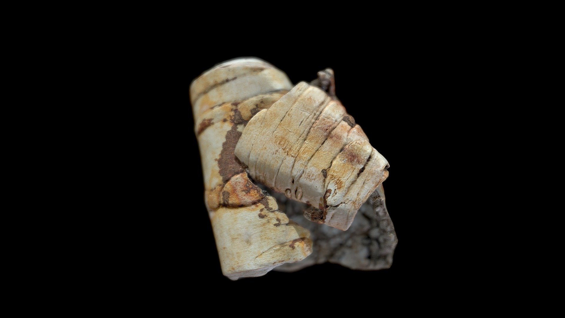 Birch bark