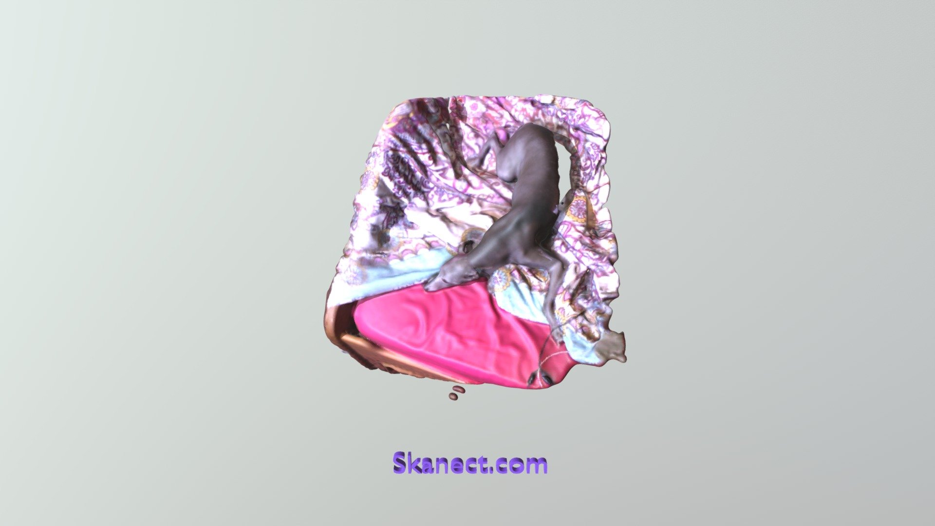 Blue Scanner