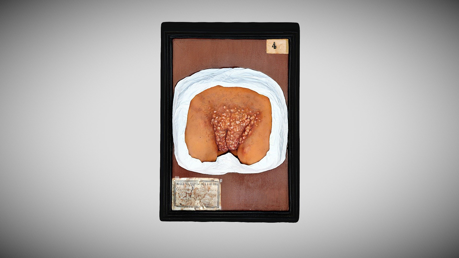 350 - 285 — Sketchfab embed 3D viewer