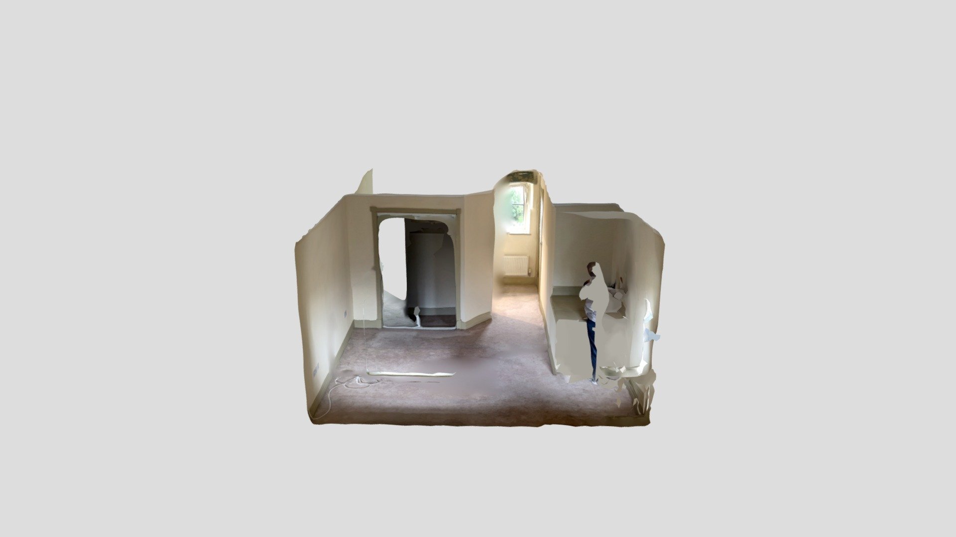 Polycam capture