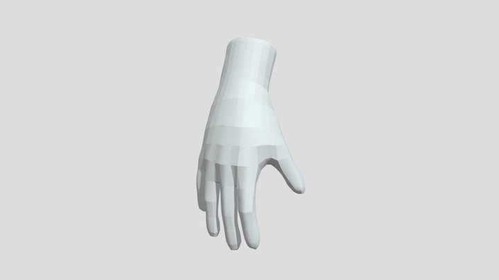 Retopology Hand 3D Model