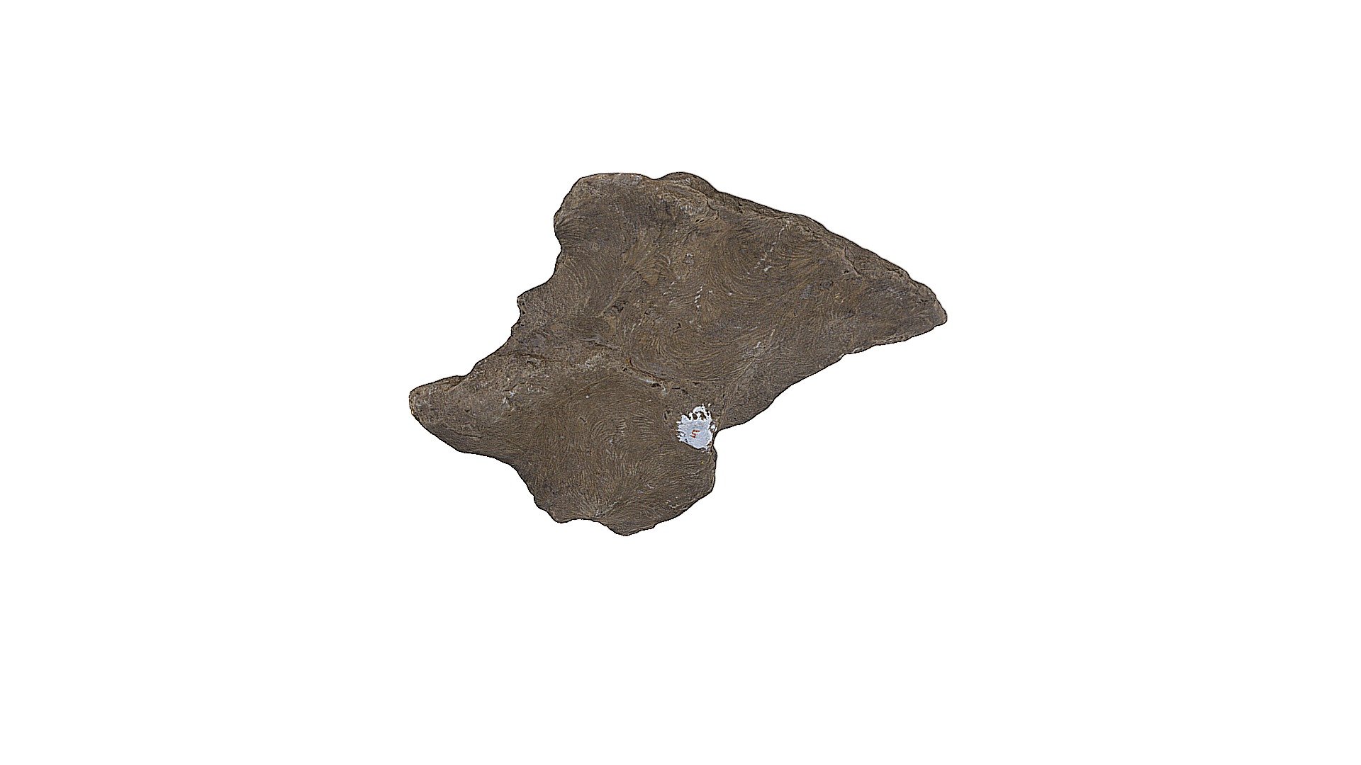 Sedimentary Sample
