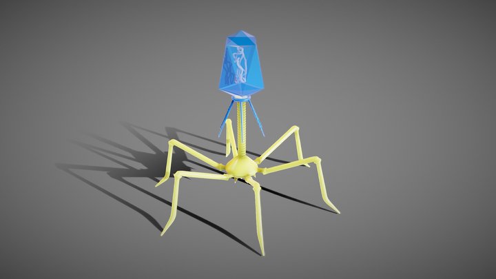 Bacteriophage Anatomy 3D Model