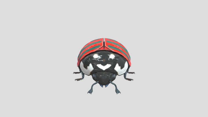 Colorful Beetle Design – Modello 3D gratuito STL