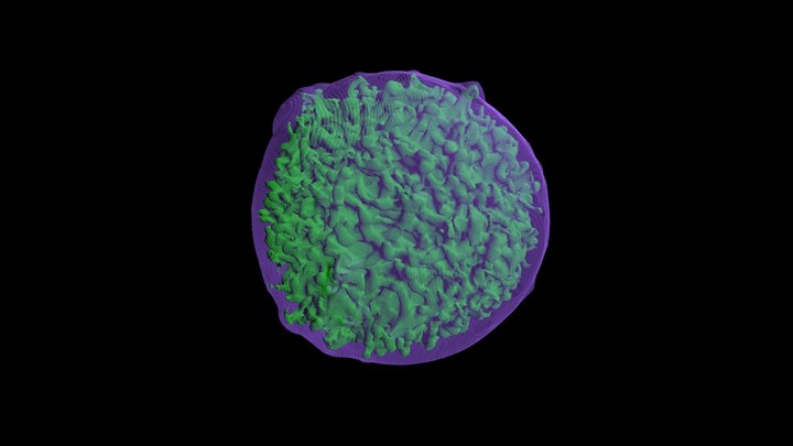 N100 supernova remnant (full sphere) 3D Model