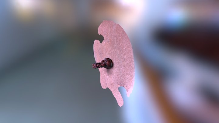 Chinese Dragon 3D Model