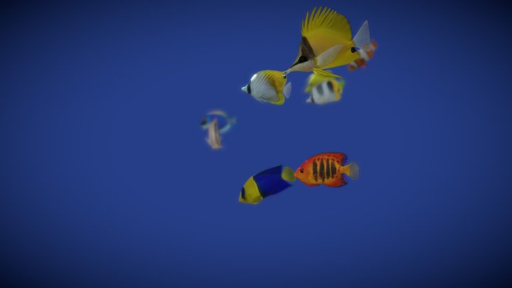 Schooling Coral Reef Fish 3D Model