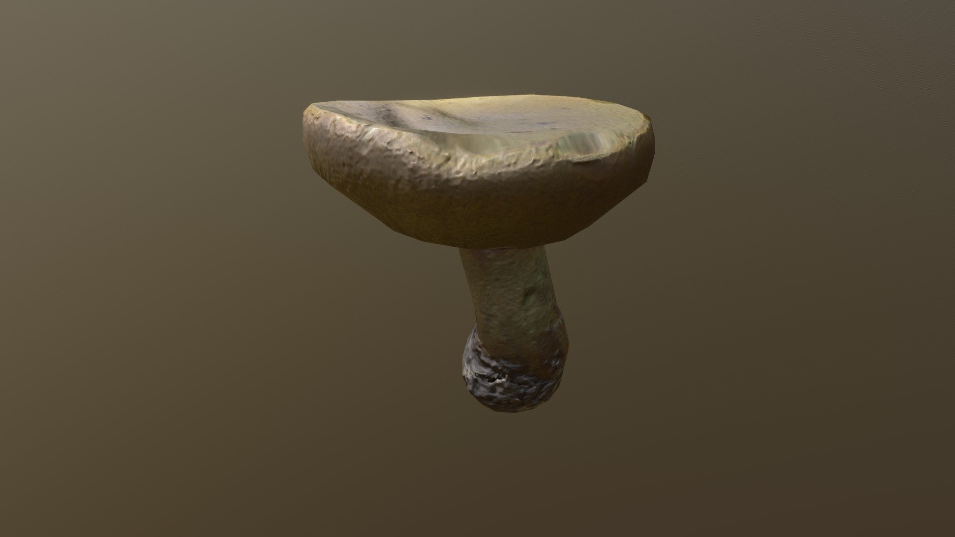 Suillus granulatus - bolete