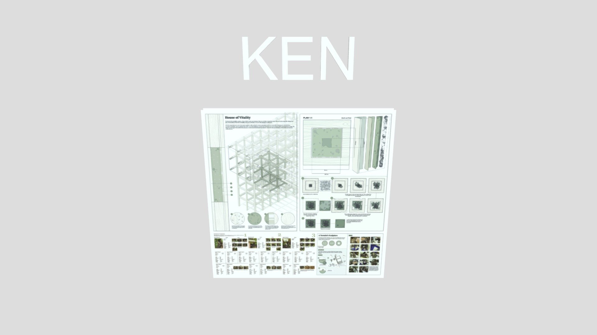 Y2_S1_Eduardo_Ken_TextureModel