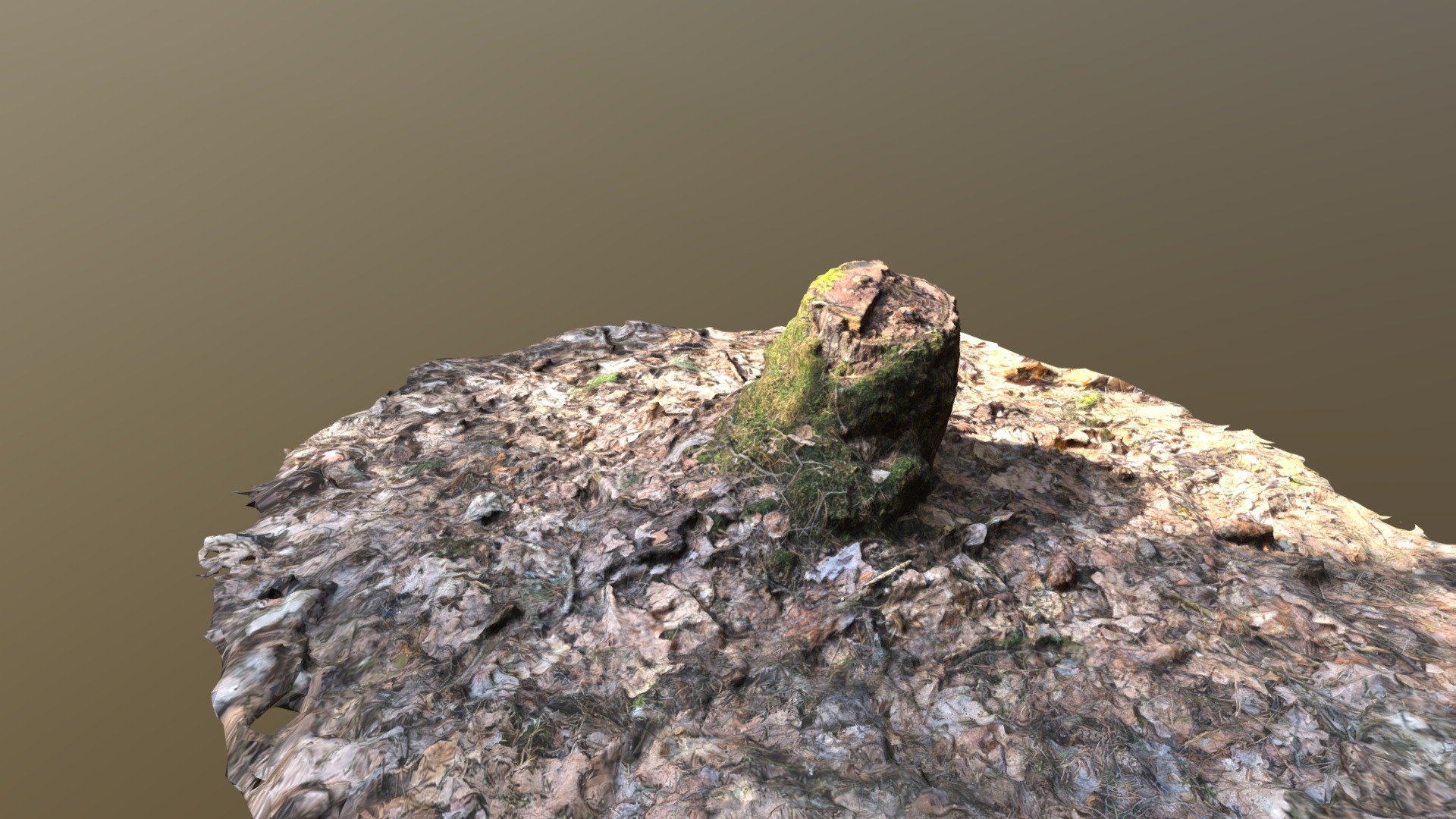 Moss Stump