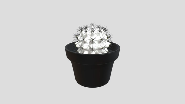 Cactus BLK 3D Model