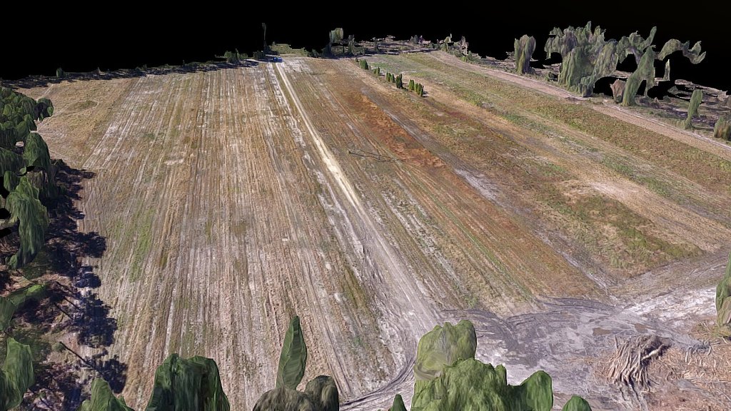 Grimke Dove Field - 3D Mesh