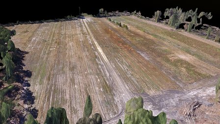 Grimke Dove Field - 3D Mesh 3D Model