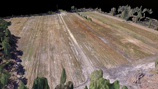Grimke Dove Field - 3D Mesh