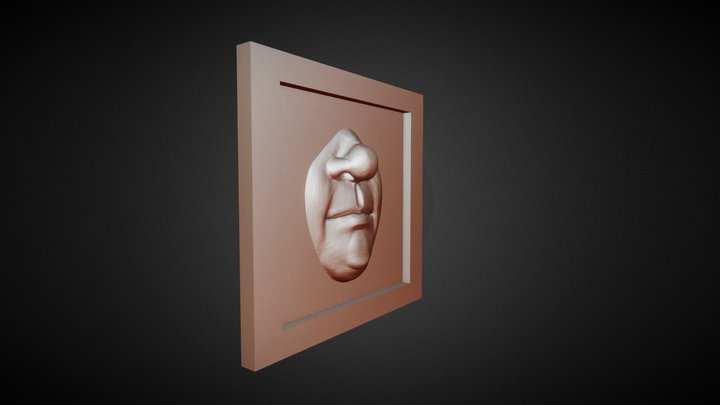 Sculpt January 2018  1 Mouth & nose 3D Model