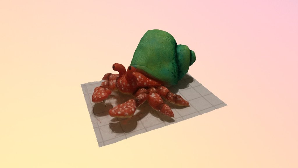 Hermit crab