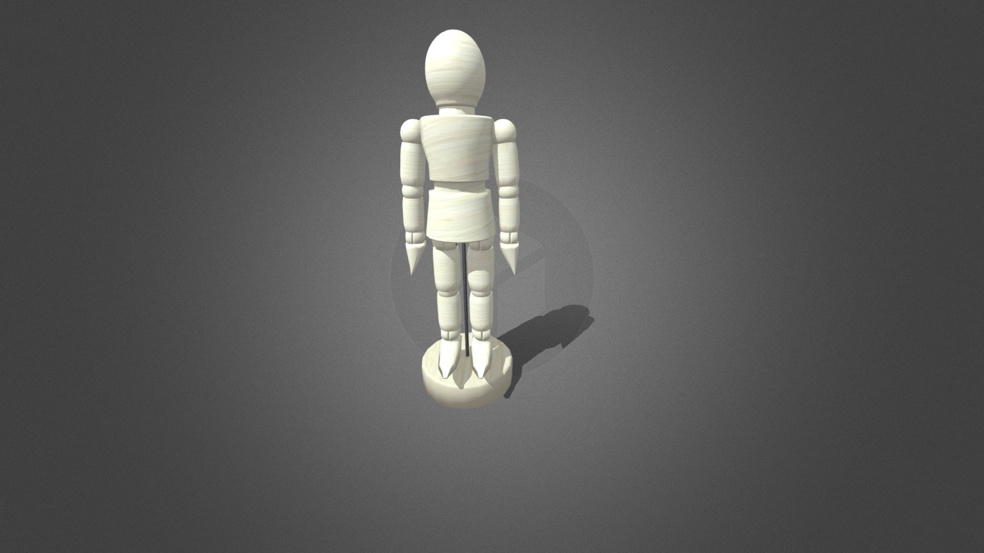 Anatomy Figure